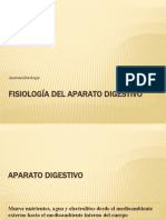 Fisiologia Del Aparato Digestivo