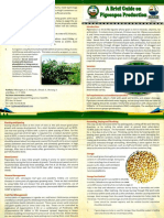 A Brief Guide On Pigeonpea Production PDF