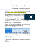 Fisiología y Bioquímica en El Ayuno