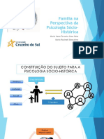 Slide Família Na Perspectiva Da Psicologia Sócio-Histórica PDF