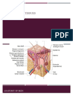 Skin and Soft Tissues