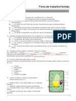 Ficha de Revisão - Celula