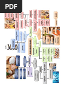 Quimica Biomoleculas PDF