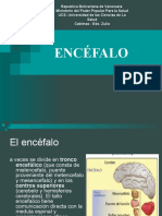 ENCÉFALO