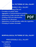 Cell Injury-3