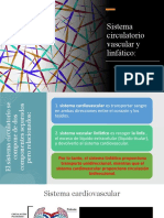 Histologia Sistema Circulatorio