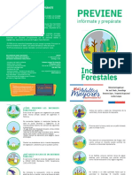 Forestales PDF