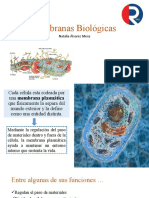 Membranas Biológicas