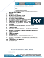 Plan de Seguridad y Salud Ambiental