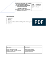 Man.001.sso - Manual de Gestion de S&so