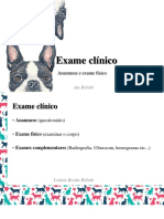 Aula Exame Clinico - Auxiliar Veterinario