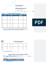 Formatos Practica Pedagogicas Licenciaturas PDF