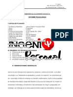 Formato de Informe Psicologico Infantil PDF