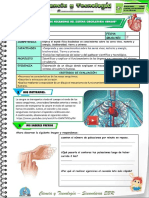 2do Grado 2da Unidad PDF