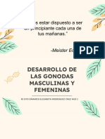 Desarrollo de Gonadas PDF