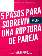 5 Pasos para Sobrevivir A Una Ruptura de Pareja - Cosasdespuesdelamor. JESSE BAROCIO