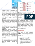 Digestão e Absorção de Carboidratos