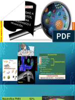 Capitulo 34 Resistencia Del Organismo A La Infección Leucocitos, Granulocitos, Sistema Monocitomacrofagico e I
