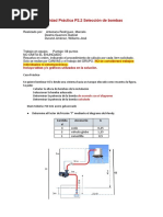 Actividad P2.1 Selección de Bombas 2021 Grupo 1