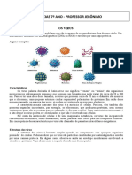 RESUMO - Vírus e Bactérias