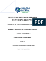 Ensayo PDF