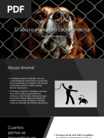 Maltrato Animal - Copy 1