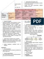 GASTRO (2) - Hepatites Virais