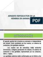 Aparato Reproductor de La Hembra en Animales