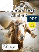 GuideToCommonAilments2019 PDF