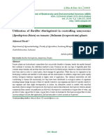 Bacillus Thuringiensis Spodoptera Litura Solanum Lycopersicum