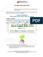 Study Guide Science Grade 4 Plant Structure and Function 1