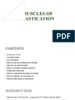 Muscles of Mastication