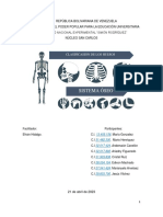 Esqueleto Axial y Apendicular