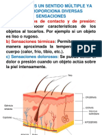 El Tacto Es Un Sentido Múltiple Ya Que Proporciona Diversas Sensaciones