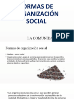 3 y 4 Formas de Organizacion Social