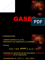 Gases 2010