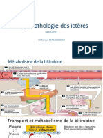 Physiopathologie Des Icteres 2021