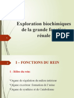 4 - Explo Fonction Renale