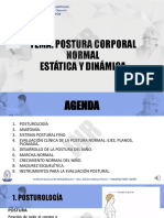 Postura Corporal Normal, Estática y Dinámica