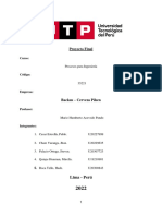 Proyecto Final PDF