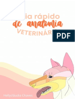 Guia Rápido de Anatomia Veterinária - @lilyfazvet