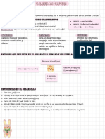 Psicología Del Desarrollo I PDF