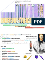 3.komórka - Podstawowa Jednostka Życia PDF