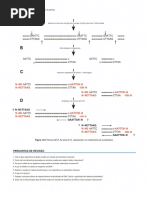 8-pdf 2 PDF