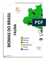104 QuebraMino Brasil BIOMAS FAUNA