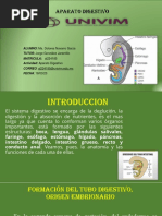 Mnavarro Aparato Digestivo