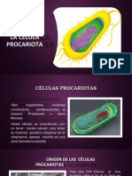 Celula Procariota PDF