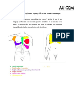 TRABAJO GUÍA REGIONES TOPOGRÁFICAS Valentina Cortes