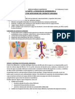 Repartido UNIDAD 8 Parte 1 Evlreconv PDF