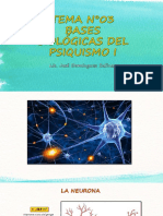 Bases Biológicas Del Psiquismo (I) Psicología 5° Sec PDF